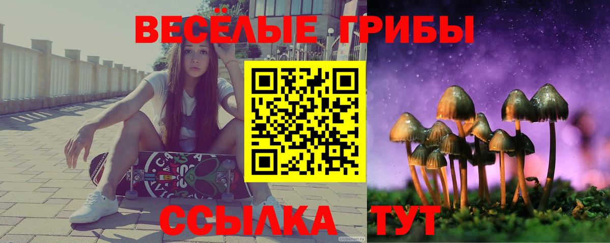 Псилоцибиновые грибы Psilocybine cubensis Обь